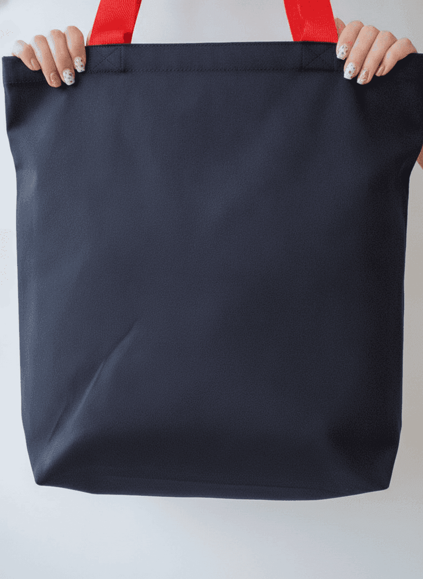 Heavy Cotton Twill Tote with Red Handles