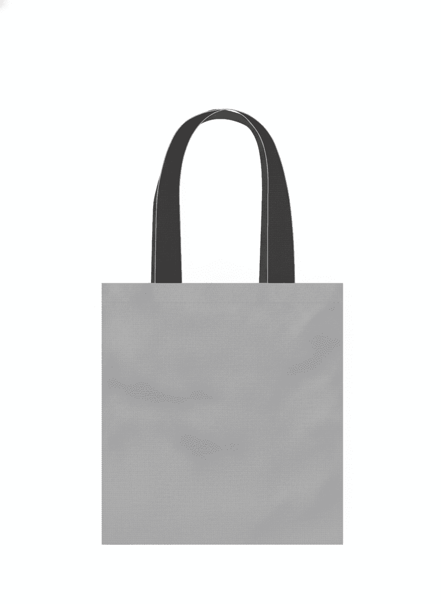 Reflective Lavasta Bag