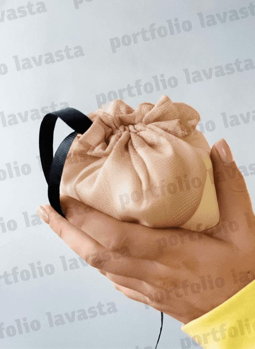 Beige Organza Pouch