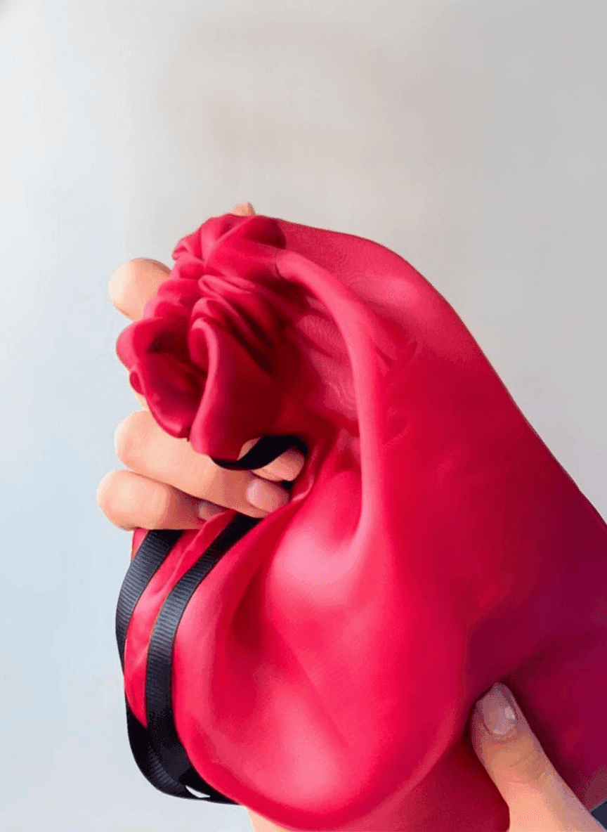 Red Organza Pouch