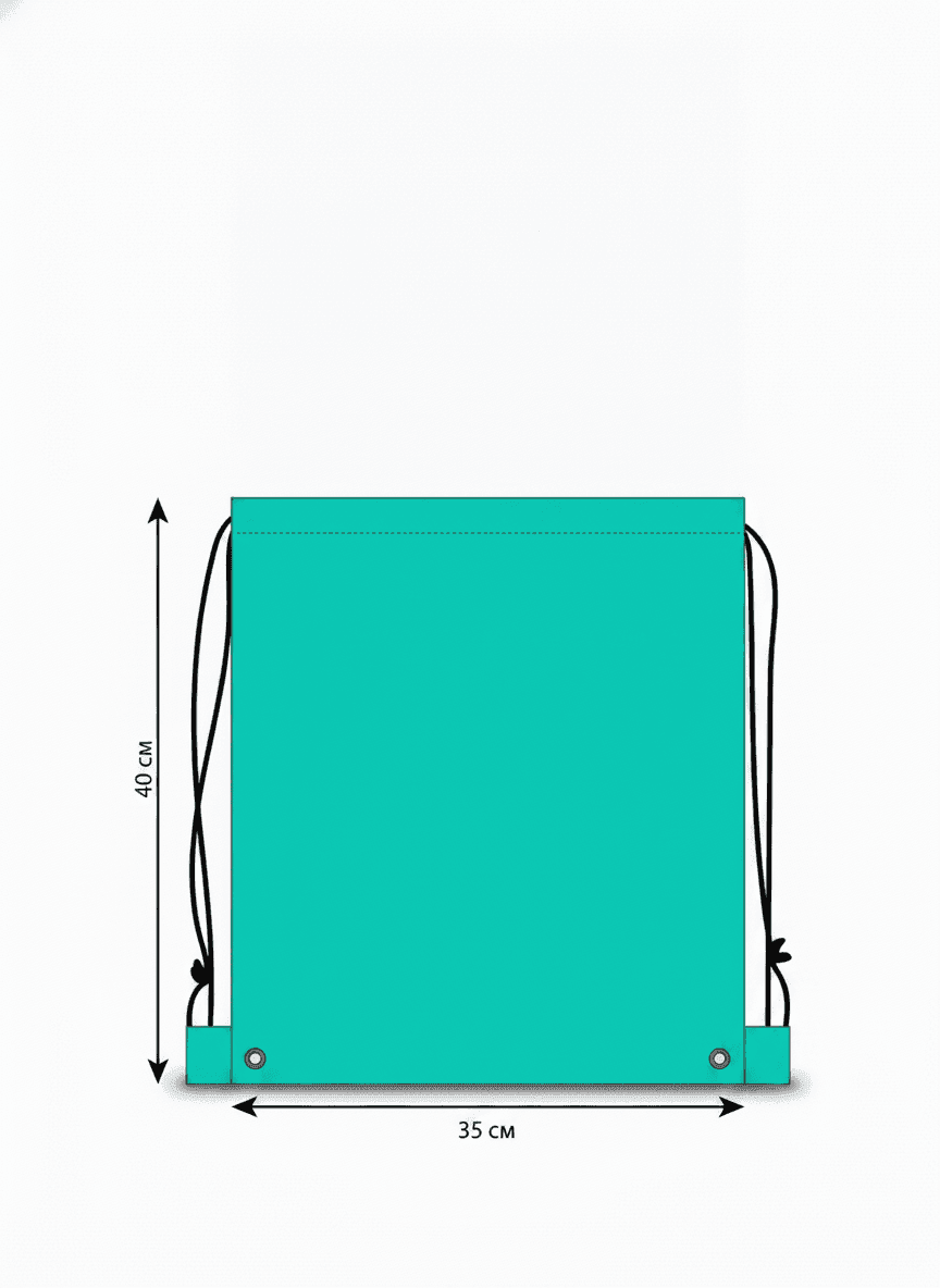 Raincoat Fabric Drawstring Shoe Bag