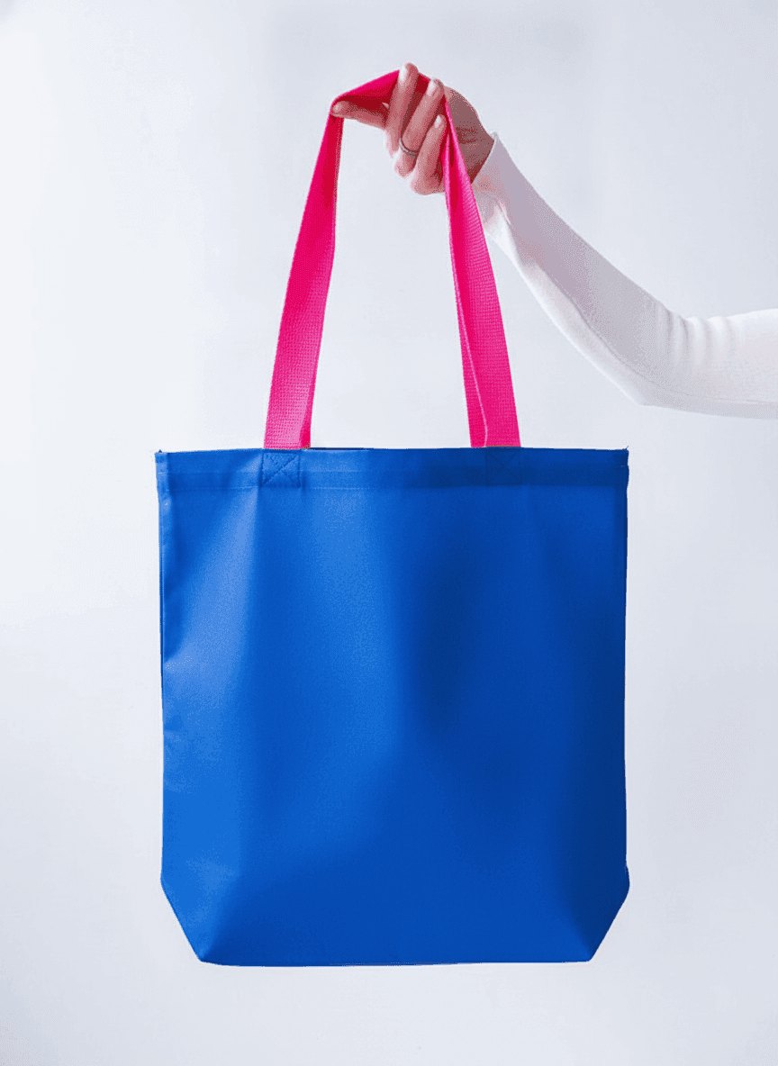 Blue Oxford Tote Bag with Pink Handle