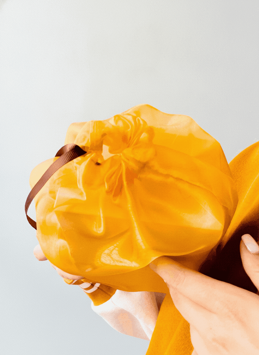 Orange Organza Pouch